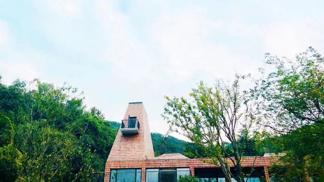 图片 8