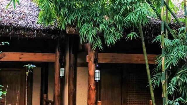 图片 4