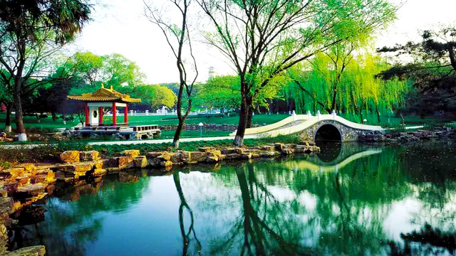 图片 6