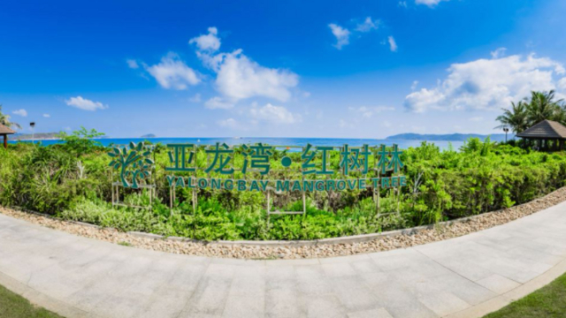 图片 3