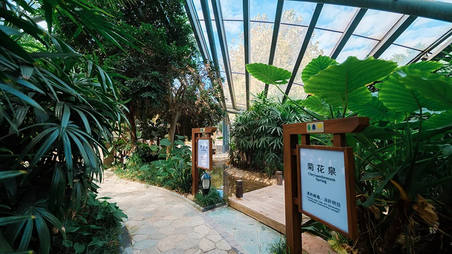 图片 6