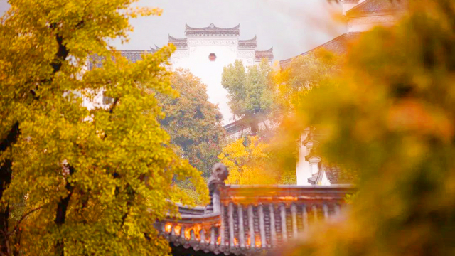 图片 4