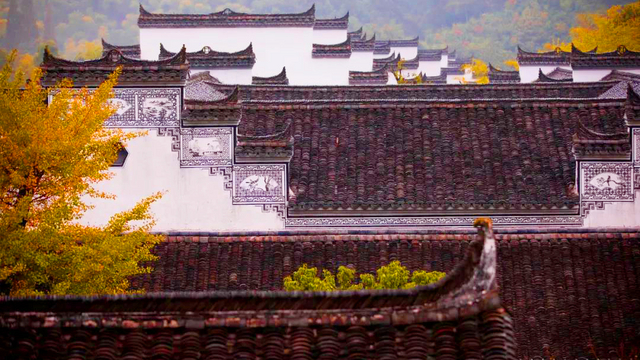 图片 6