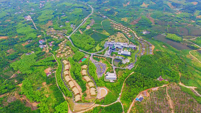 图片 4