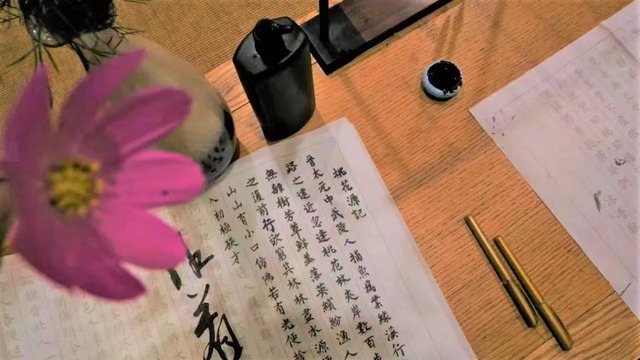 图片 13