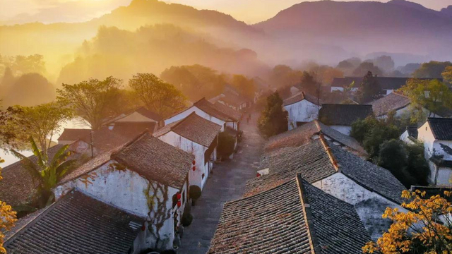 图片 10
