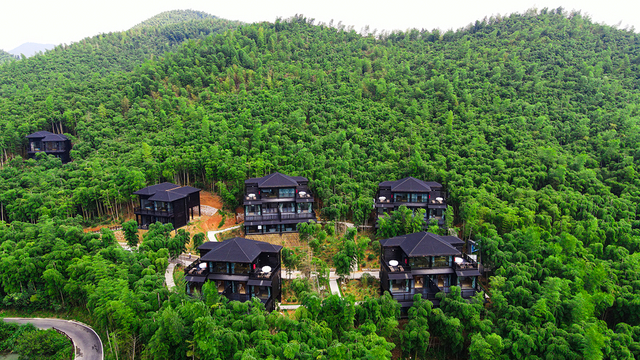 湖州长颈鹿庄园酒店  |  周五不涨价，寒假抢先订！入住森海间享215㎡三层独栋Villa，赠长颈鹿庄园入园门票，与萌宠互动！
