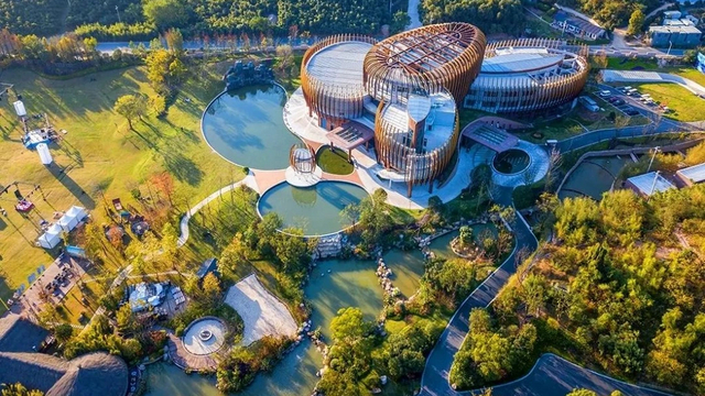 图片 6