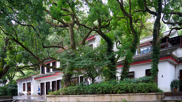 图片 6