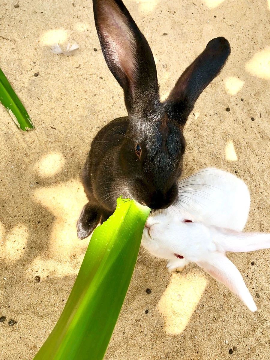 潜派旅行
