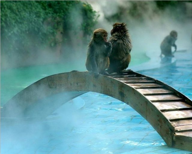 潜派旅行