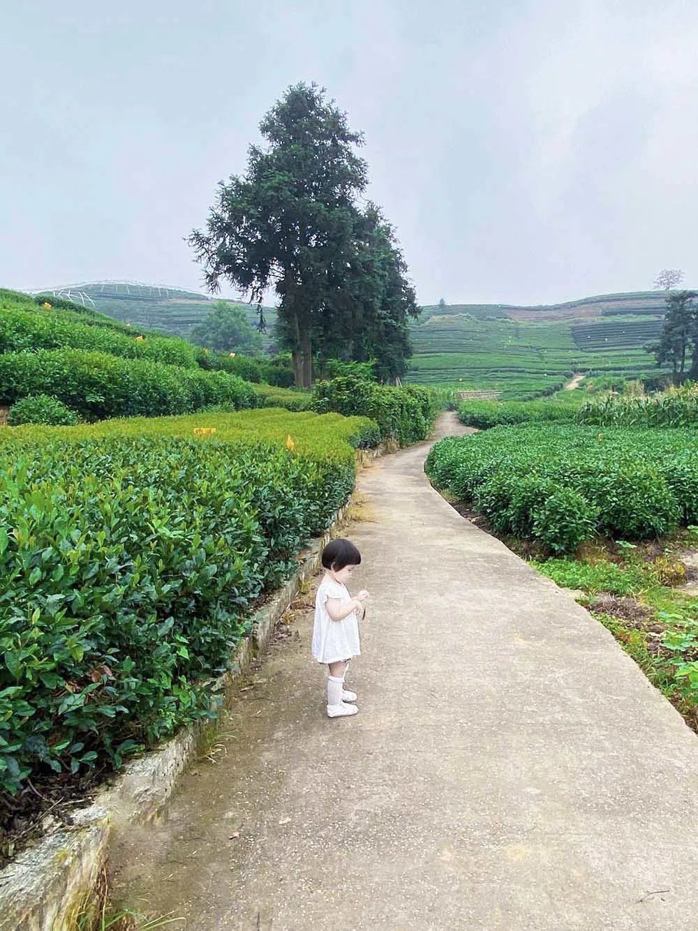 潜派旅行