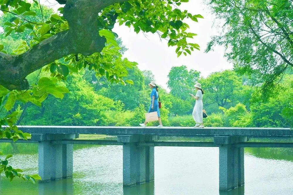 潜派旅行