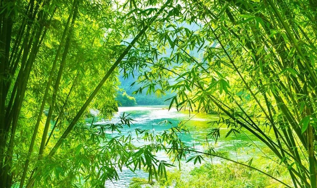 潜派旅行