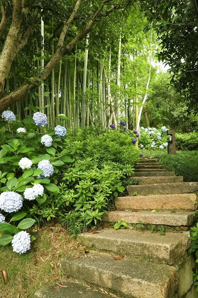 潜派旅行