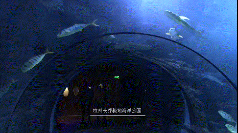 潜派旅行