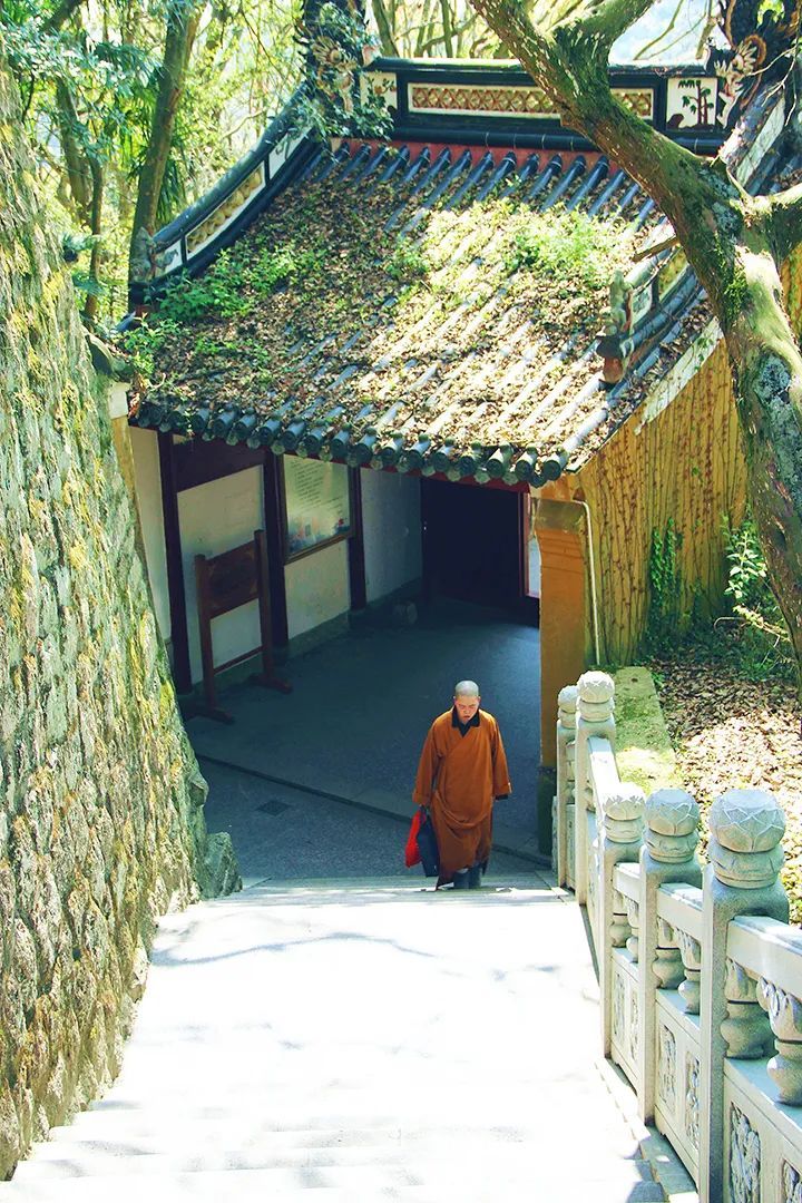 潜派旅行