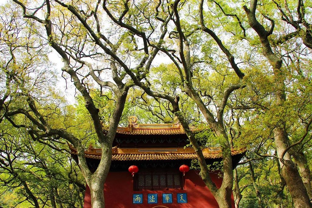 潜派旅行