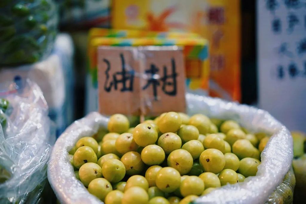 潜派旅行