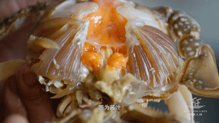 潜派旅行