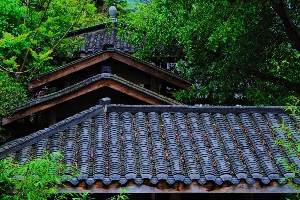 潜派旅行