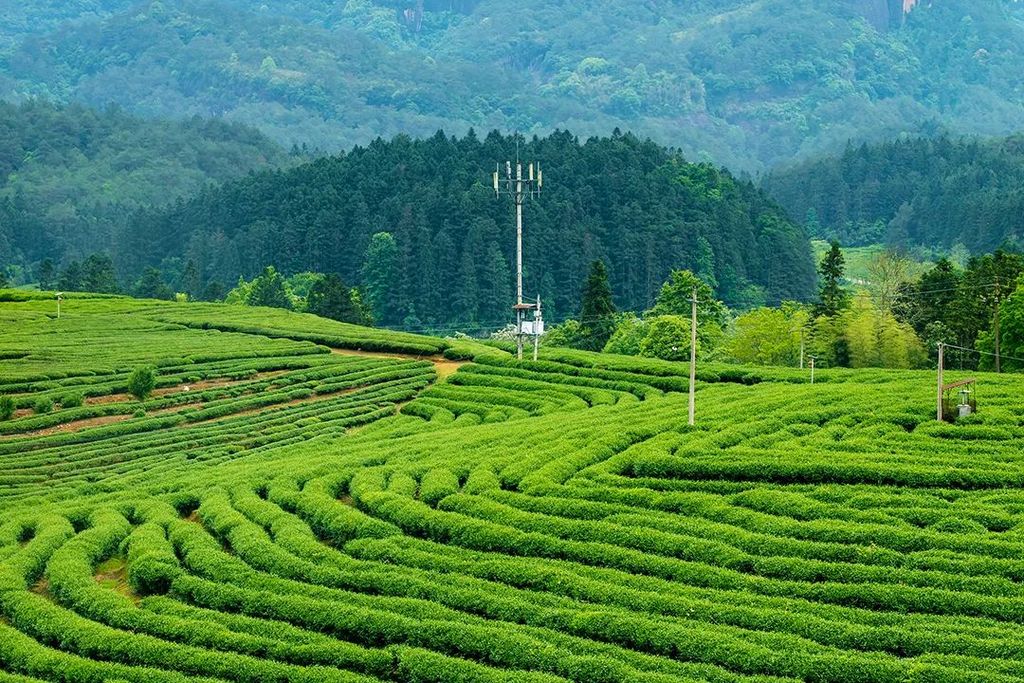 潜派旅行