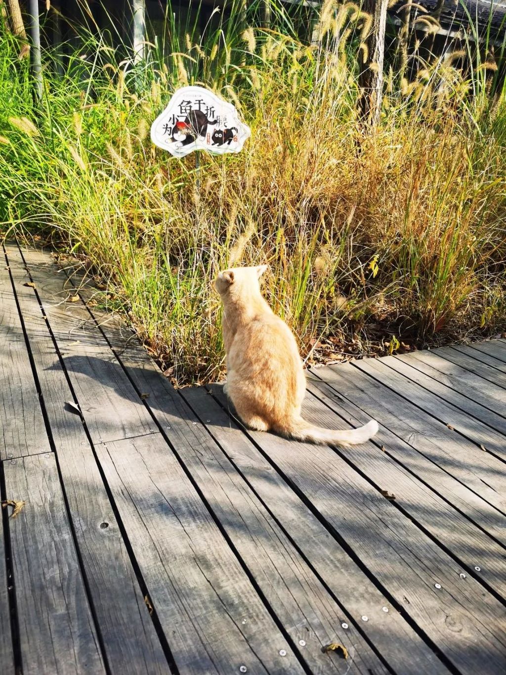 潜派旅行