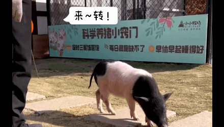 潜派旅行