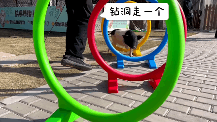 潜派旅行