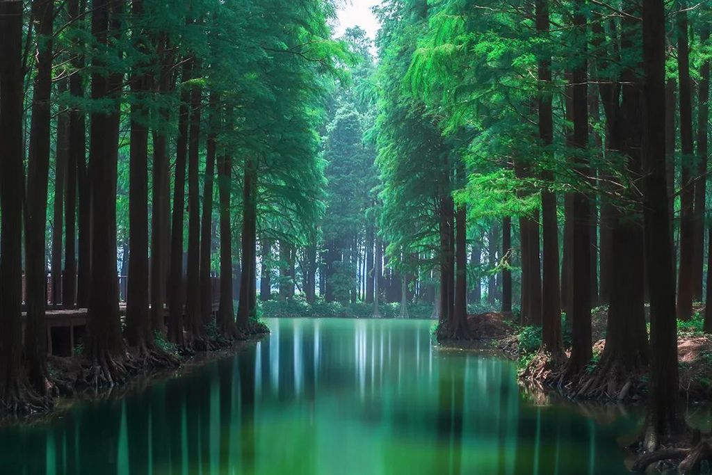 潜派旅行
