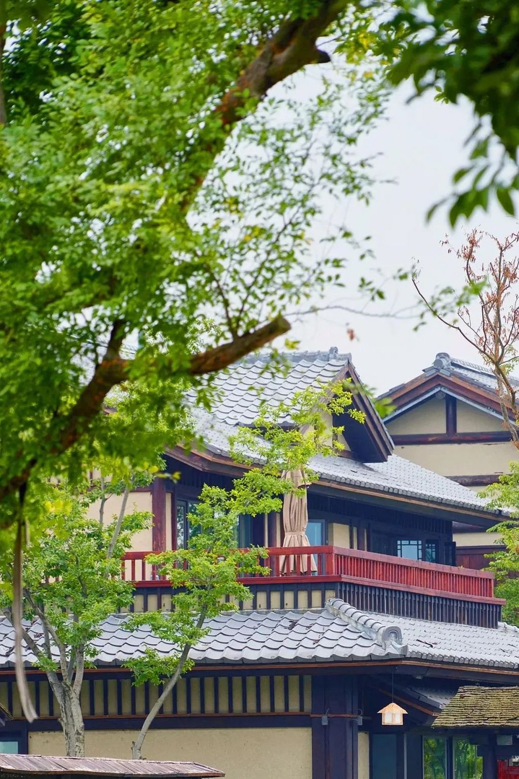 潜派旅行