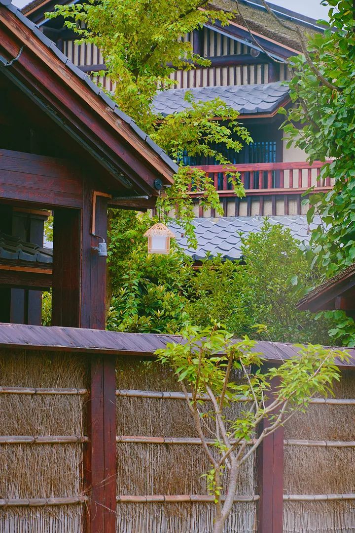 潜派旅行