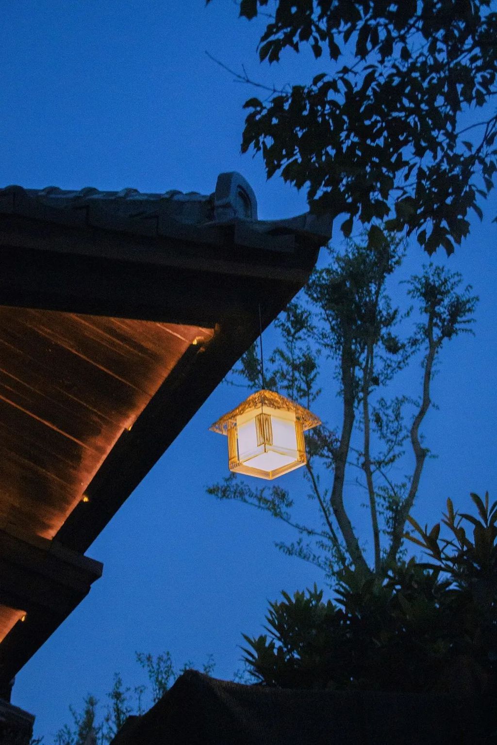 潜派旅行