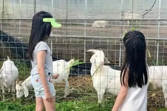 潜派旅行