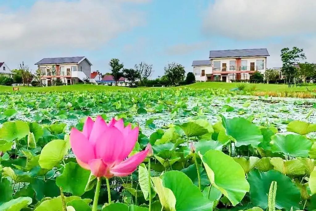 潜派旅行