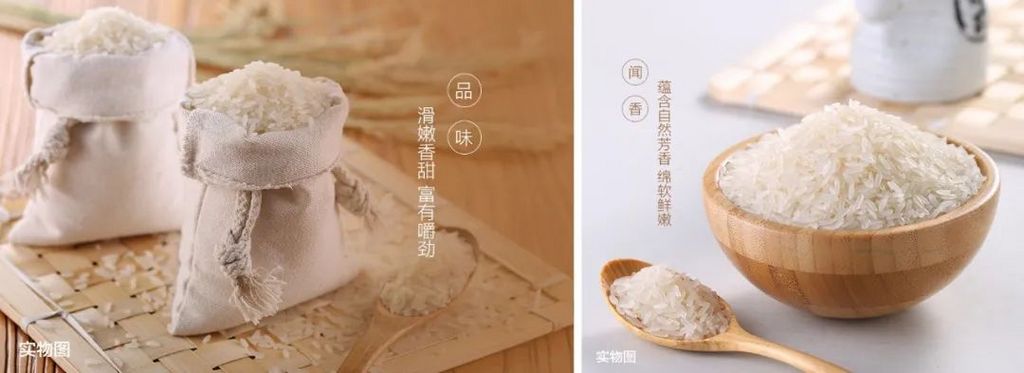 潜派旅行