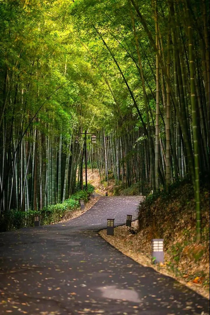 潜派旅行