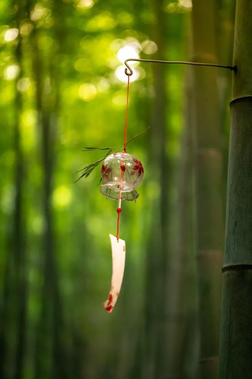 潜派旅行