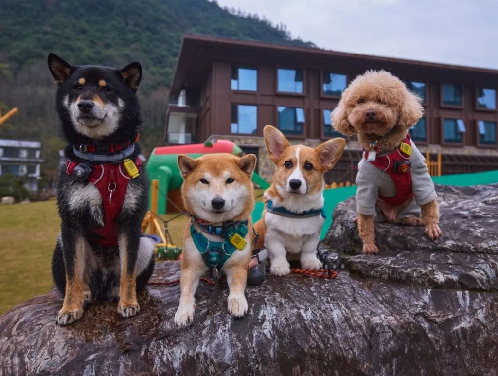 潜派旅行