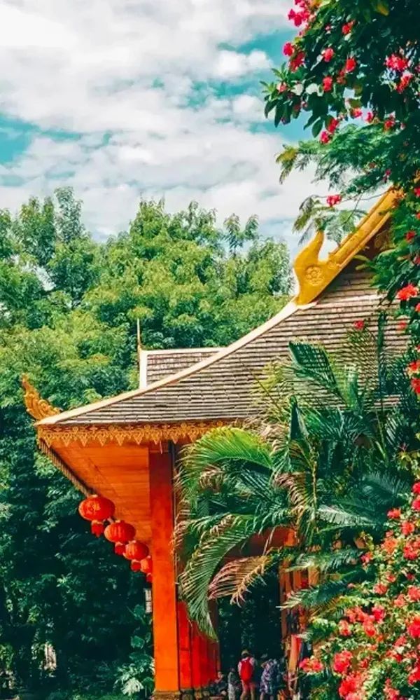 潜派旅行