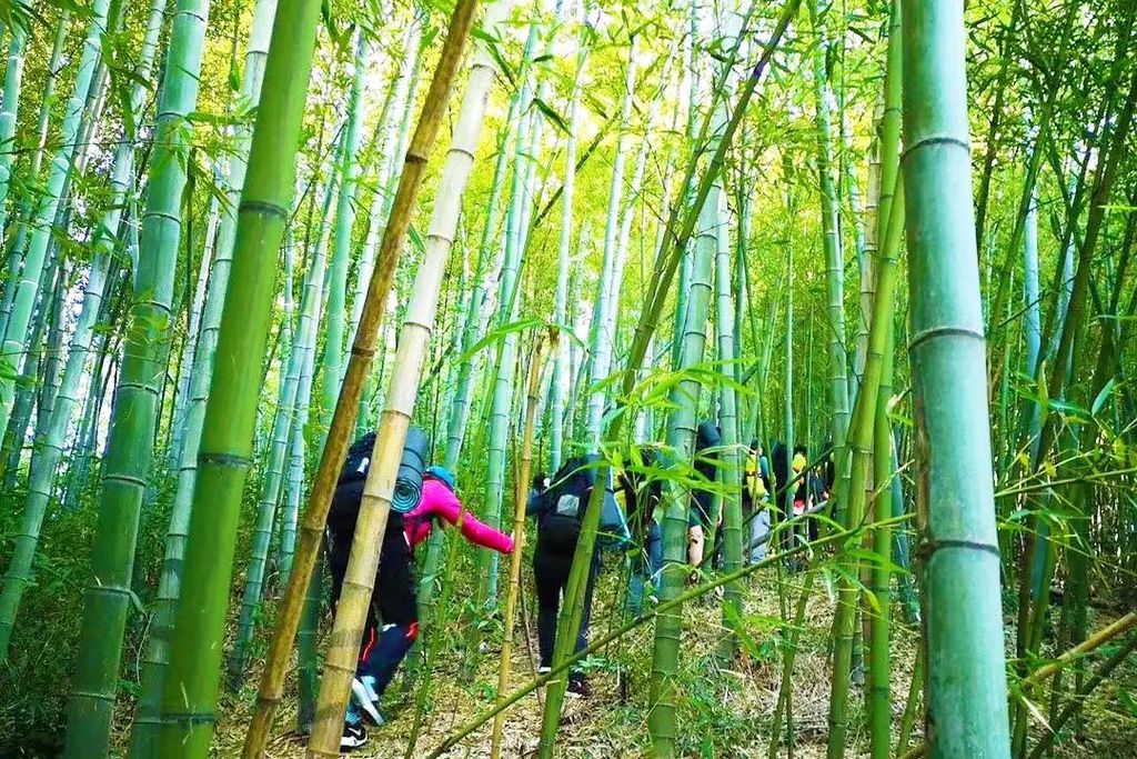潜派旅行