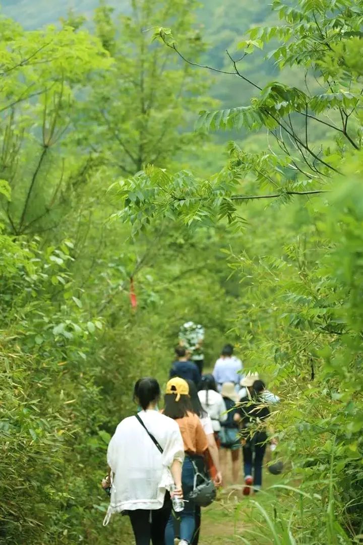 潜派旅行