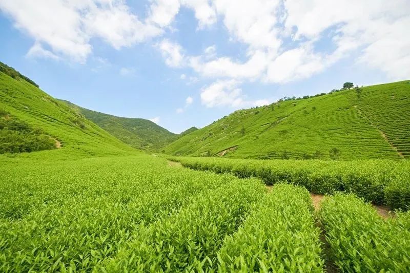 潜派旅行