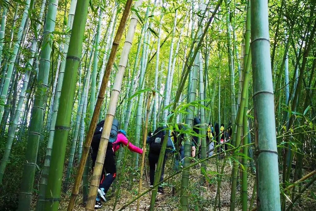 潜派旅行