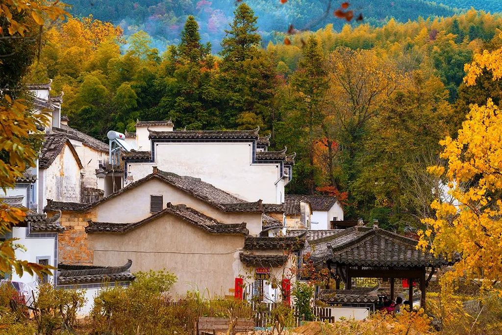 潜派旅行