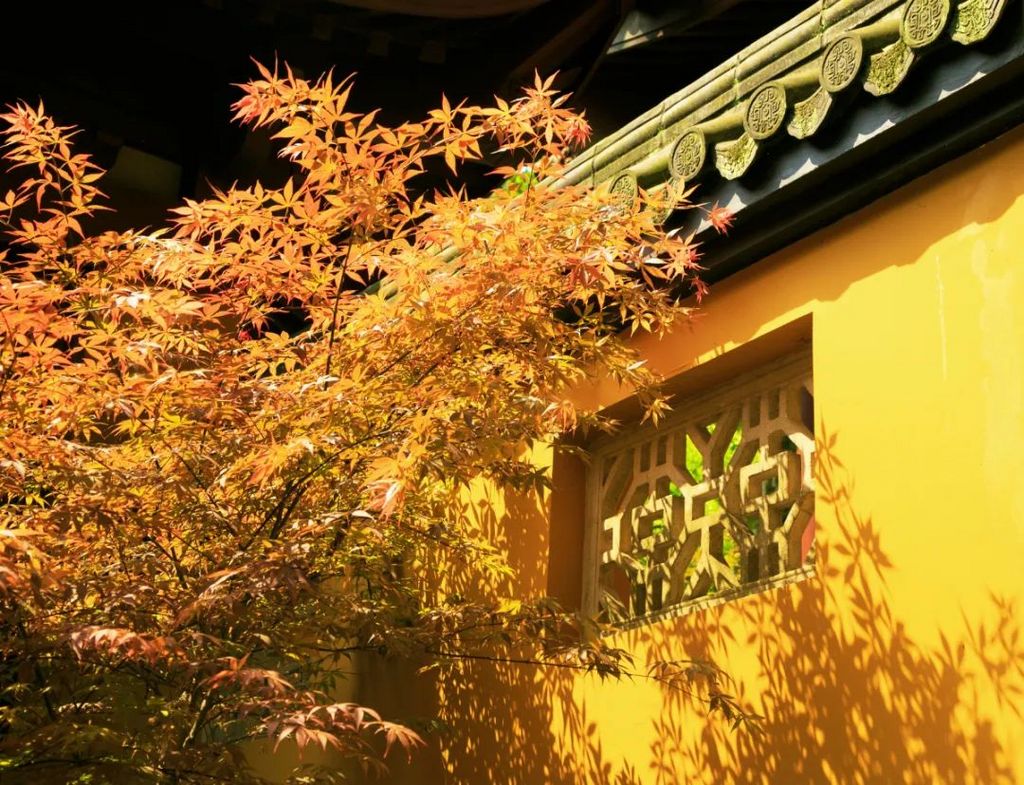 潜派旅行