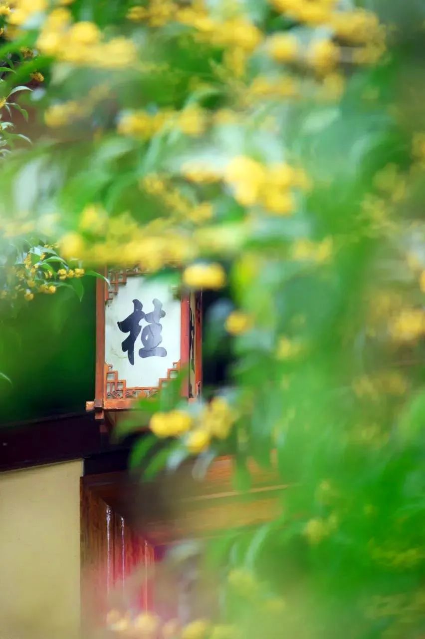 潜派旅行