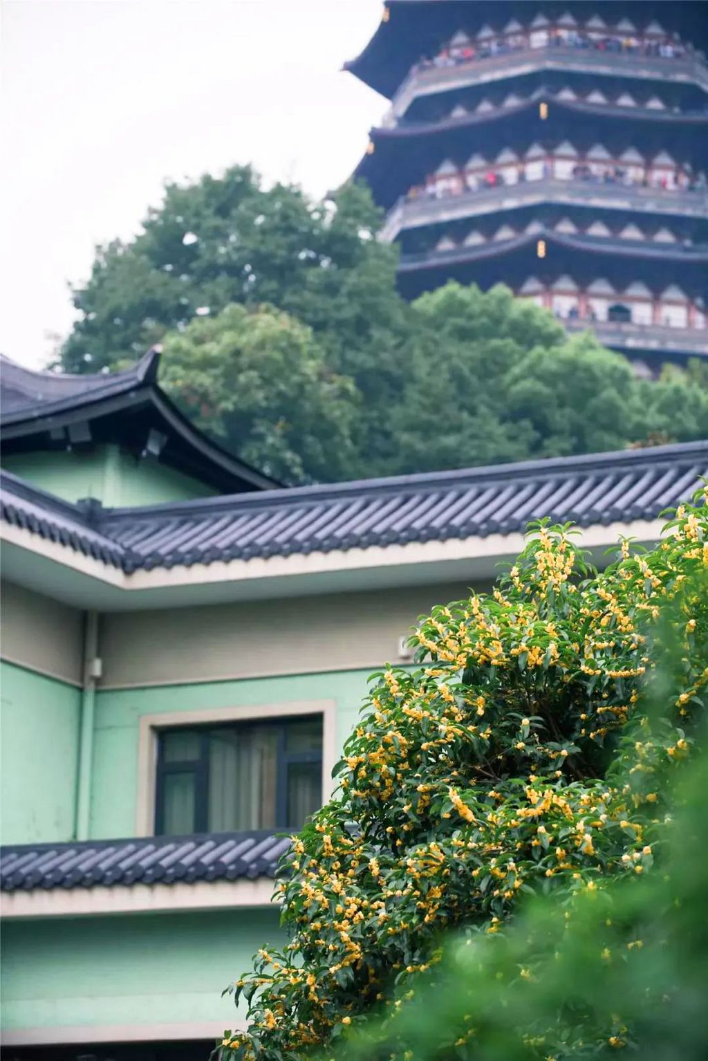 潜派旅行