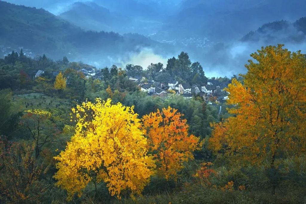 潜派旅行