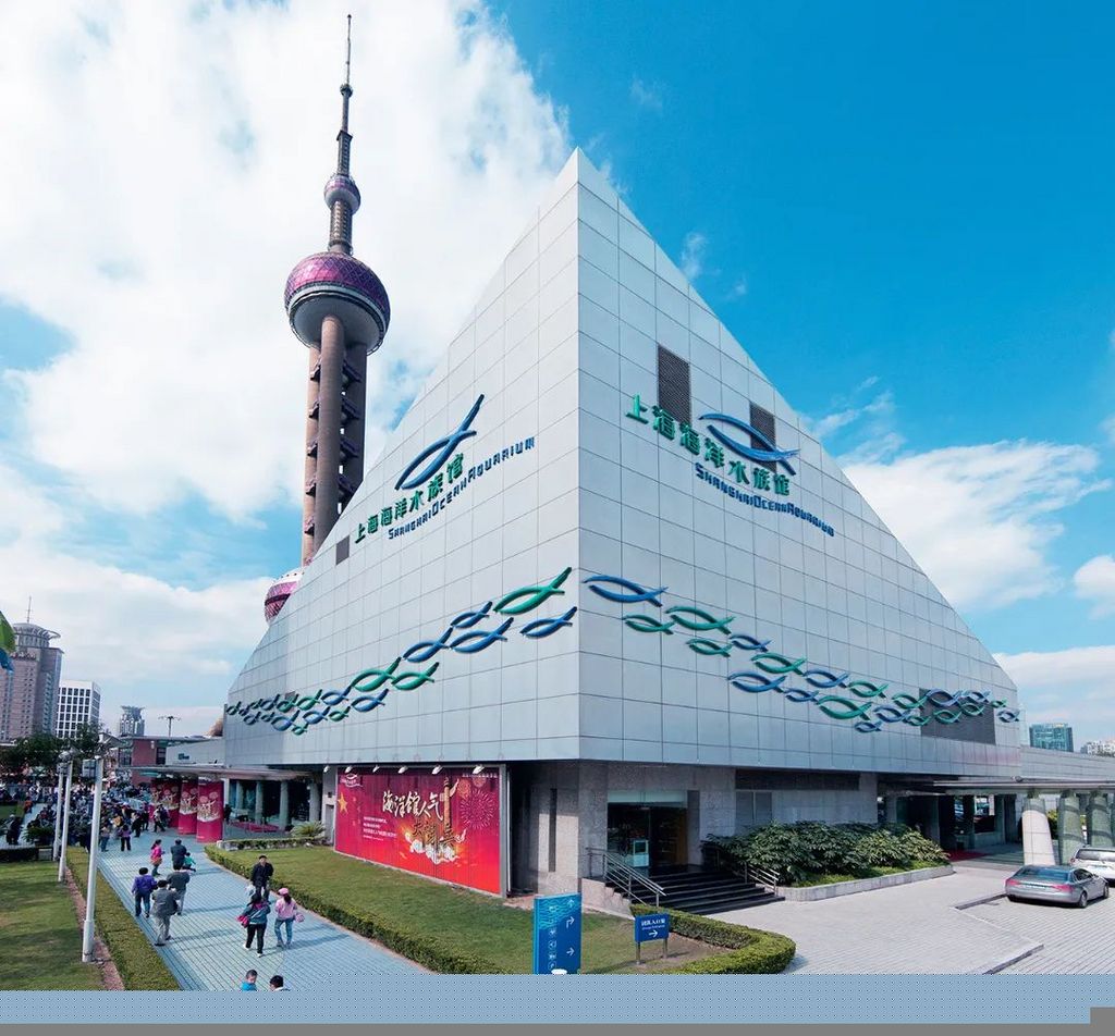 潜派旅行
